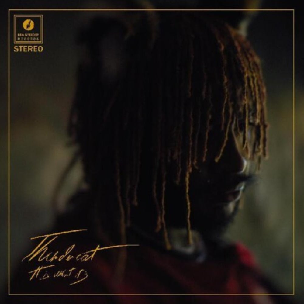 It Is What It Is - Thundercat - metafield_custom.product_key_info - 5054429140781 - The Vinyl Store
