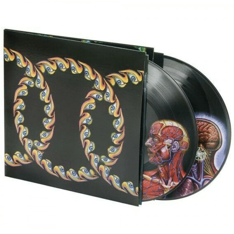 Lateralus - Tool - 2lp - 614223116013 - The Vinyl Store
