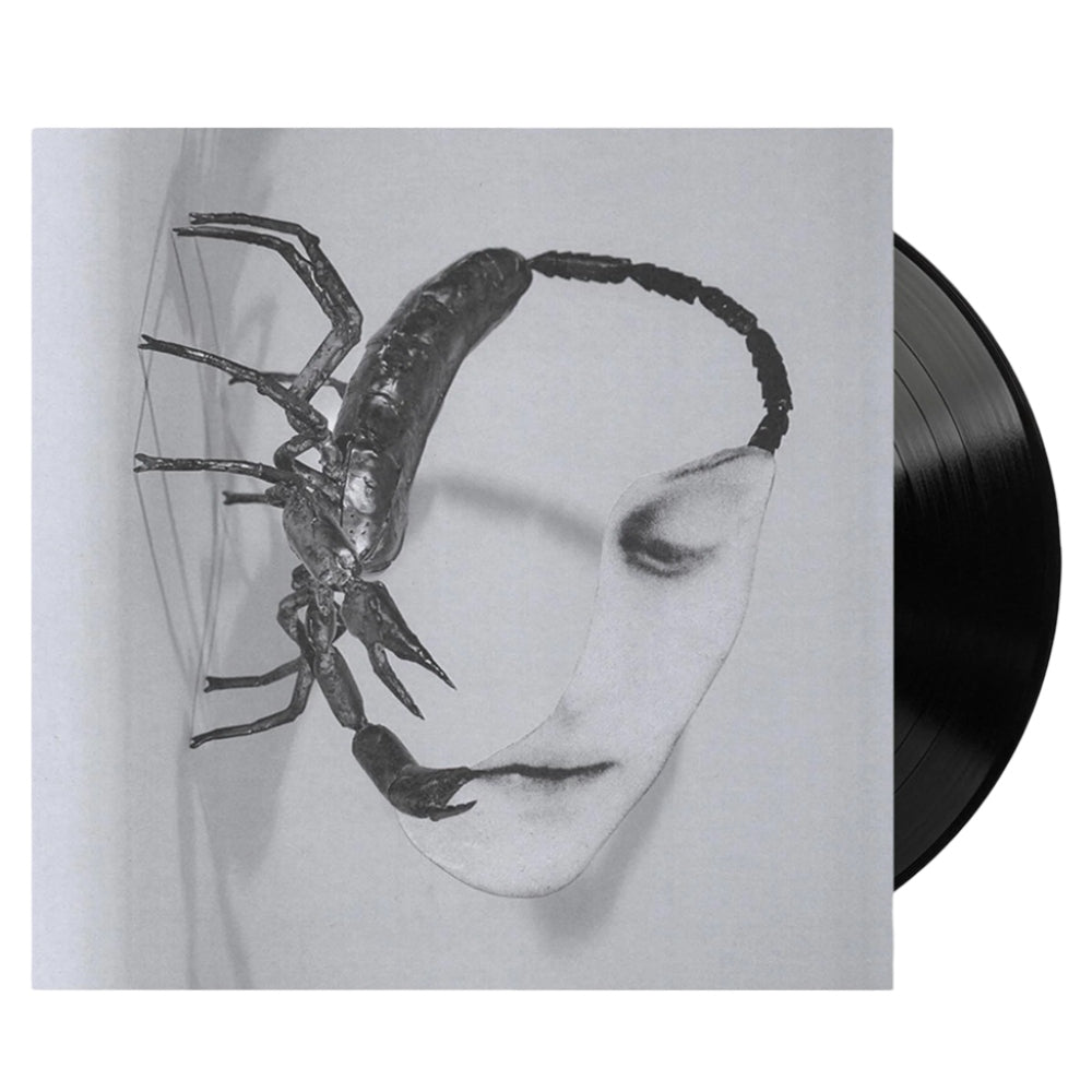 Touch - Tortoise - metafield_custom.product_key_info -  - The Vinyl Store