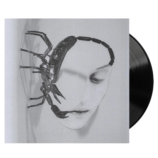 Touch - Tortoise - metafield_custom.product_key_info -  - The Vinyl Store