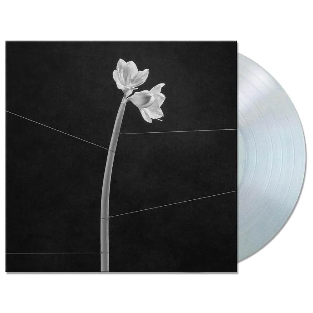 Dreamweaver - Trentemoller - metafield_custom.product_key_info -  - The Vinyl Store