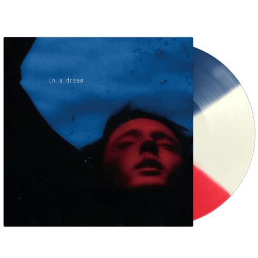 In A Dream - Troye Sivan - lp - 602507428693 - The Vinyl Store