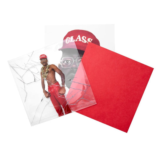 Don't Tap The Glass - Tyler, The Creator - metafield_custom.product_key_info - 199584400211 - The Vinyl Store