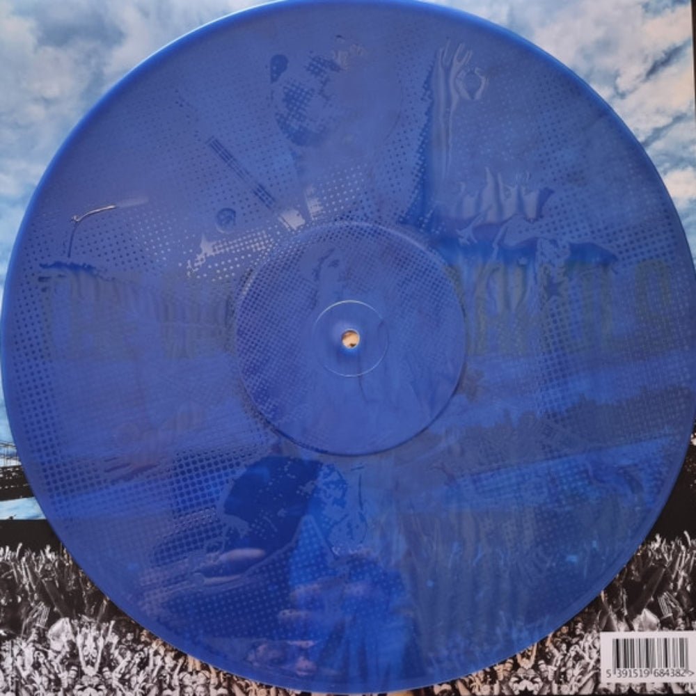 Pin Ups - The Dandy Warhols - metafield_custom.product_key_info - 5391519684382 - The Vinyl Store