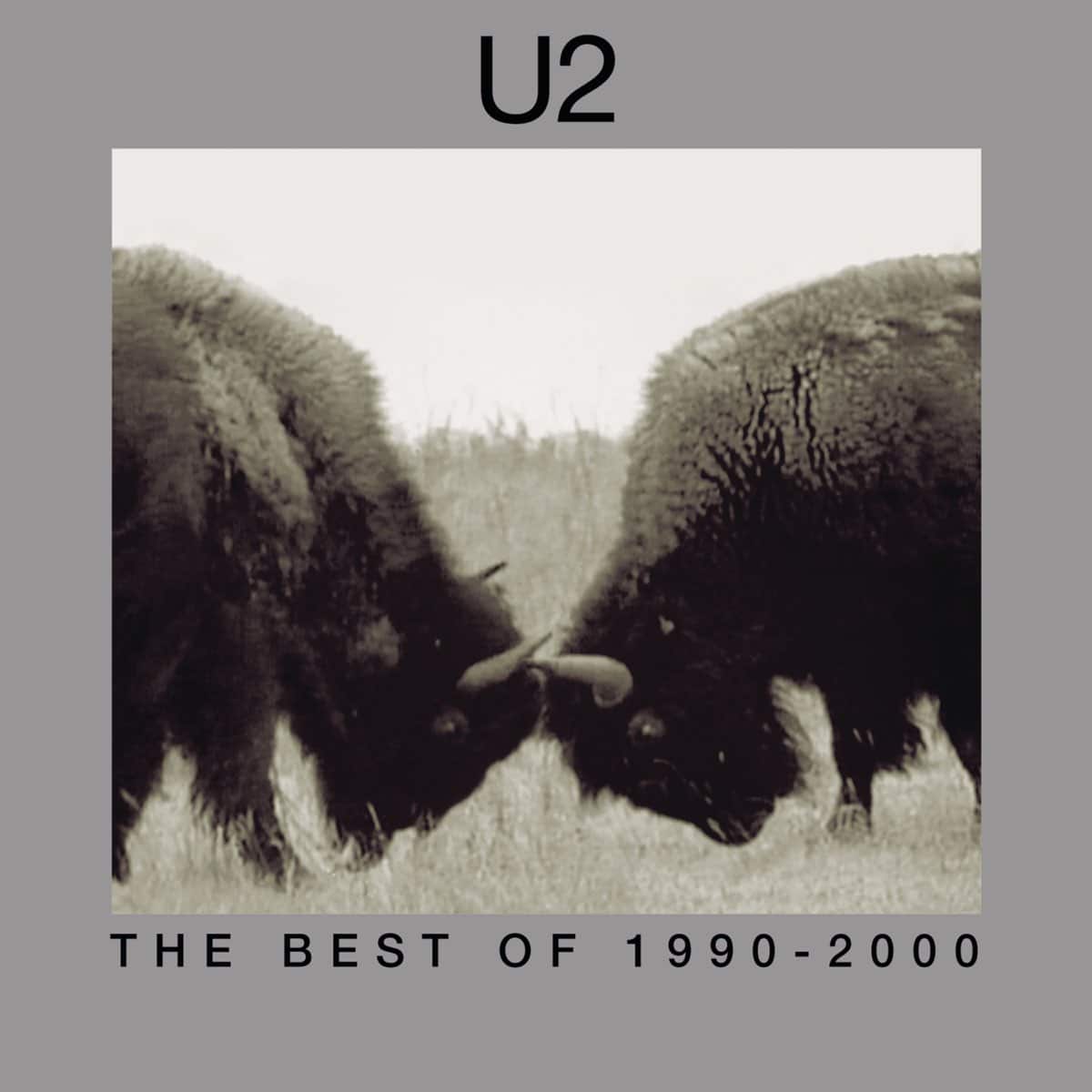 Best Of 1990 - 2000 - U2 - metafield_custom.product_key_info -  - The Vinyl Store