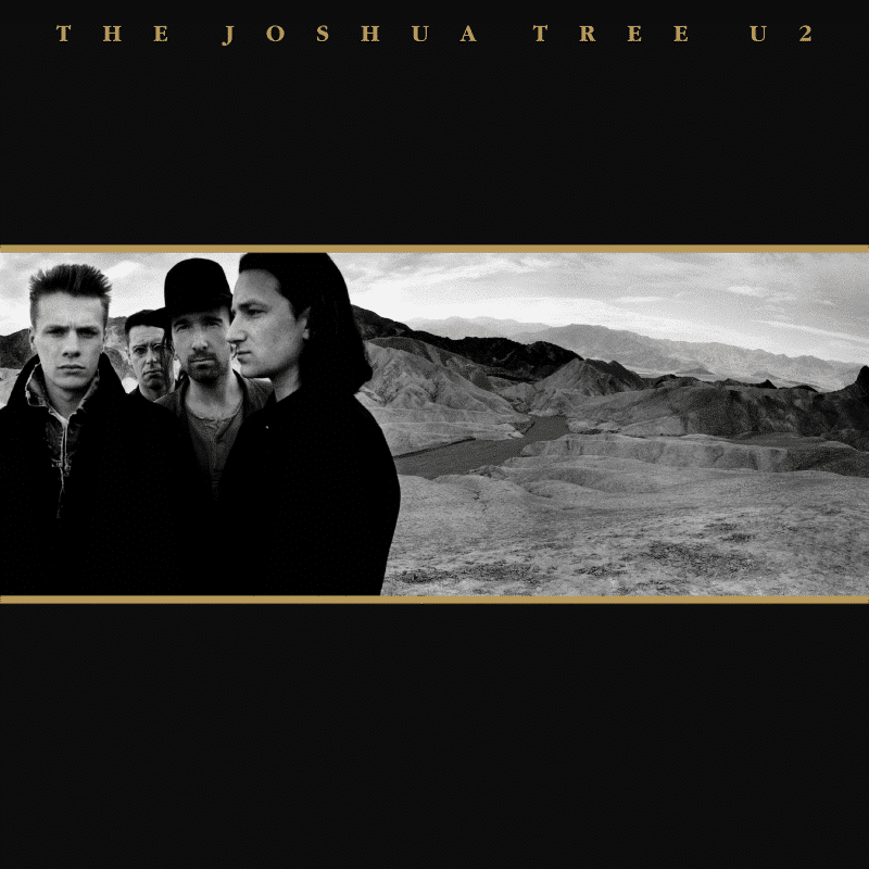 The Joshua Tree - U2 - metafield_custom.product_key_info -  - The Vinyl Store