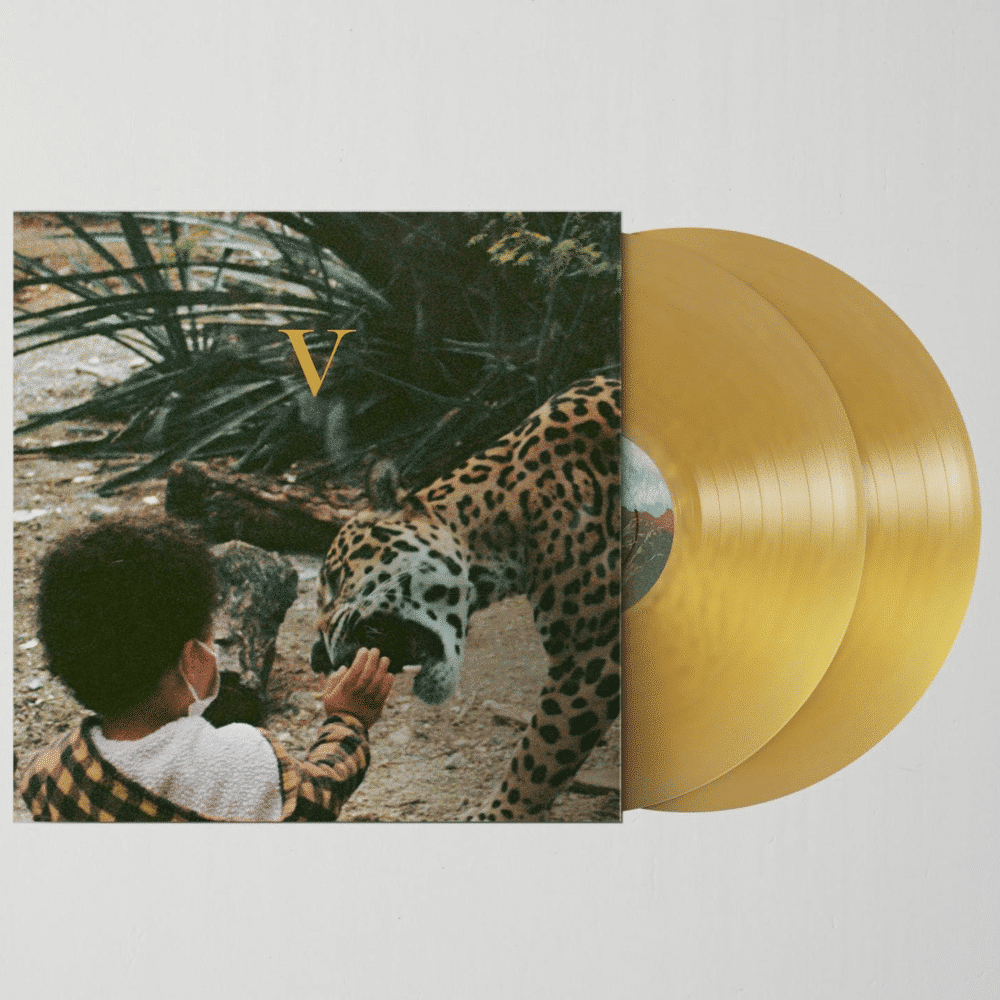 V - Unknown Mortal Orchestra - 2lp - 656605242231 - The Vinyl Store