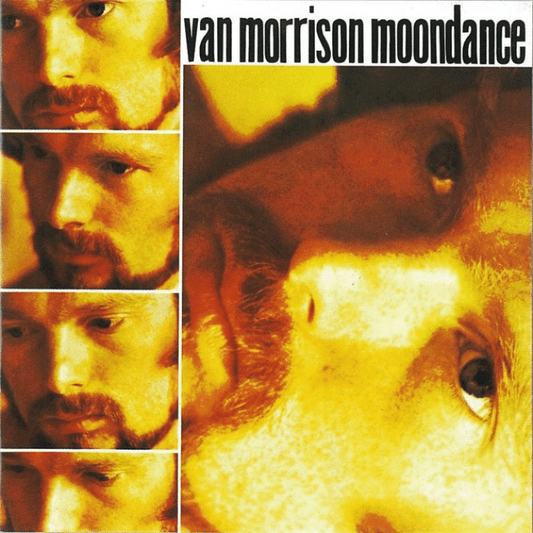 Moondance - Van Morrison - metafield_custom.product_key_info -  - The Vinyl Store