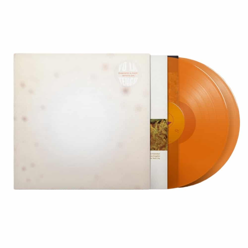 There's A Riot Going On - Yo La Tengo - lp - 744861116684 - The Vinyl Store