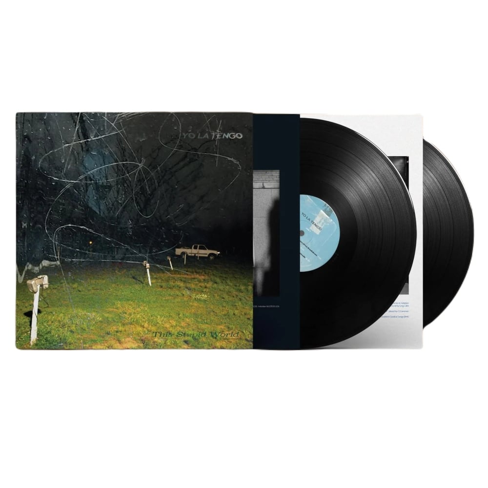 This Stupid World - Yo La Tengo - metafield_custom.product_key_info -  - The Vinyl Store