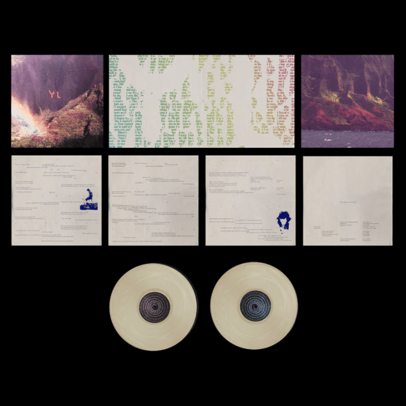 The Year of Hibernation - Youth Lagoon - metafield_custom.product_key_info -  - The Vinyl Store