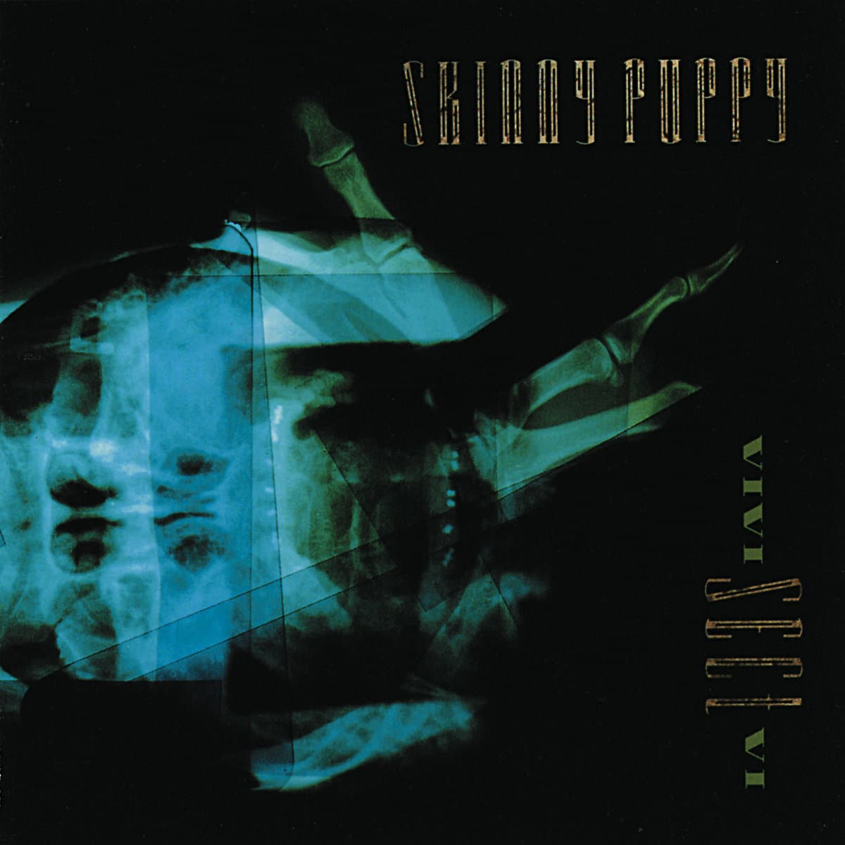 Vivi Sect VI - Skinny Puppy - metafield_custom.product_key_info -  - The Vinyl Store
