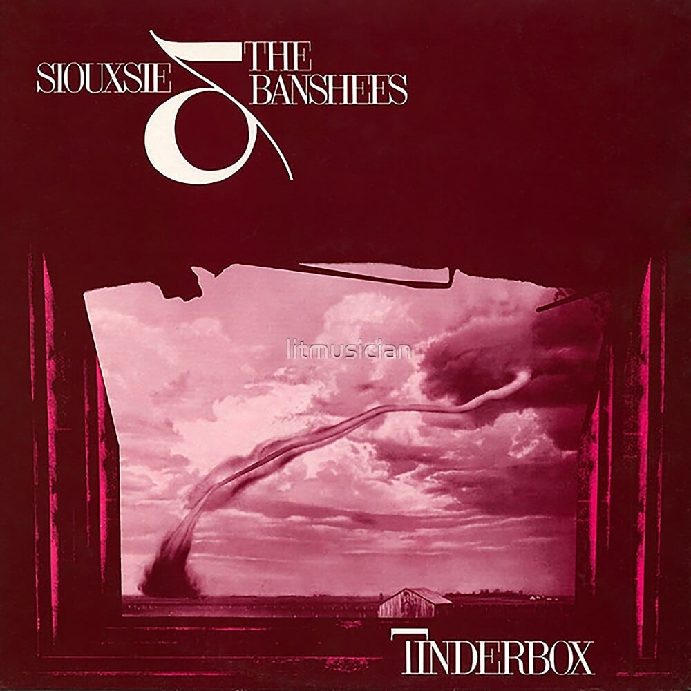 Tinderbox - Siouxsie And The Banshees - metafield_custom.product_key_info -  - The Vinyl Store