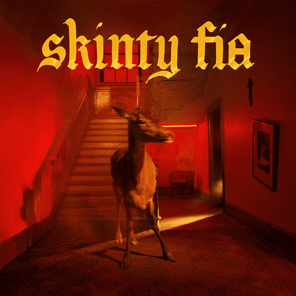 Skinty Fia - Fontaines D.C. - lp - 720841301615 - The Vinyl Store